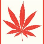美国留学时事资讯-加拿大大麻已经合法化，美国呢？