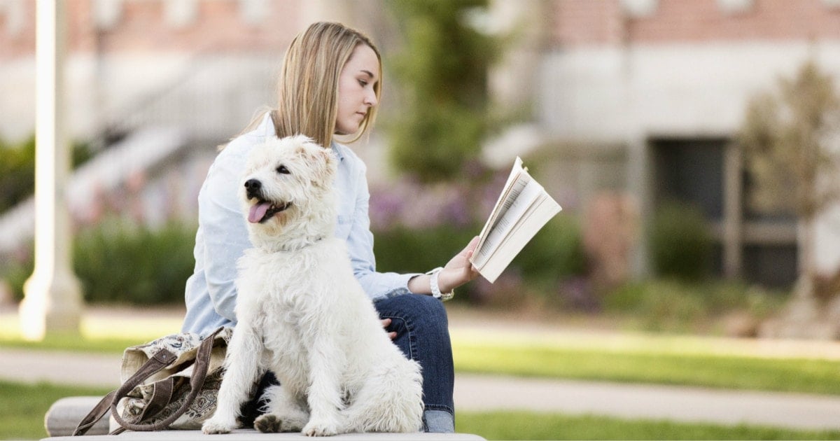 宠物帮助大学生排解压力，允许学生在校园养宠物的大学有哪些？