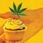 毒贩变主厨，大麻食品的合法化意味着什么？