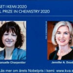 2020诺贝尔化学奖