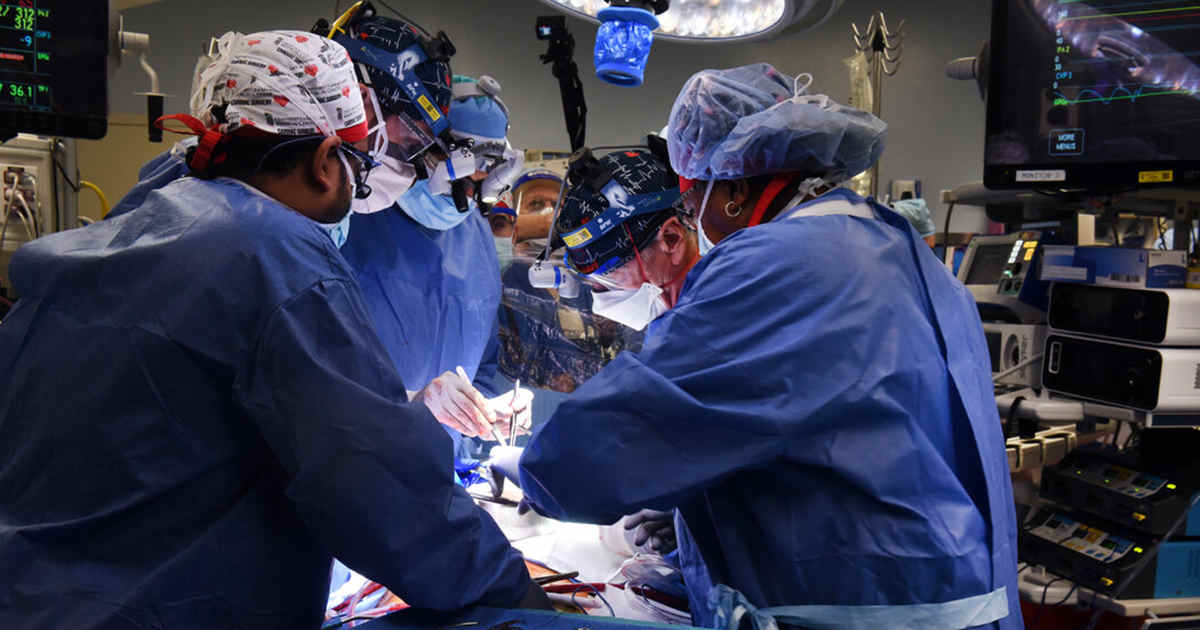 重磅！马里兰大学医学院成功完成人类首次猪心脏移植手术