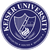 凯泽大学logo